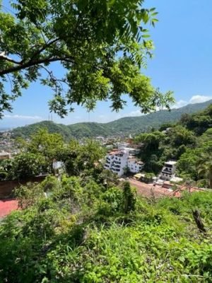 20220903225330524566000000-o