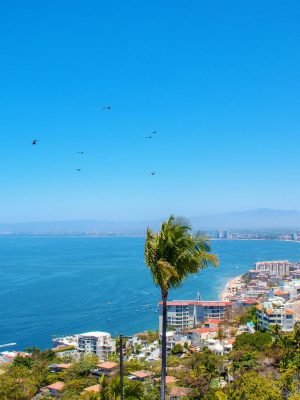 20240529171951548478000000-o