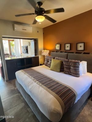 20250505212928496705000000-o